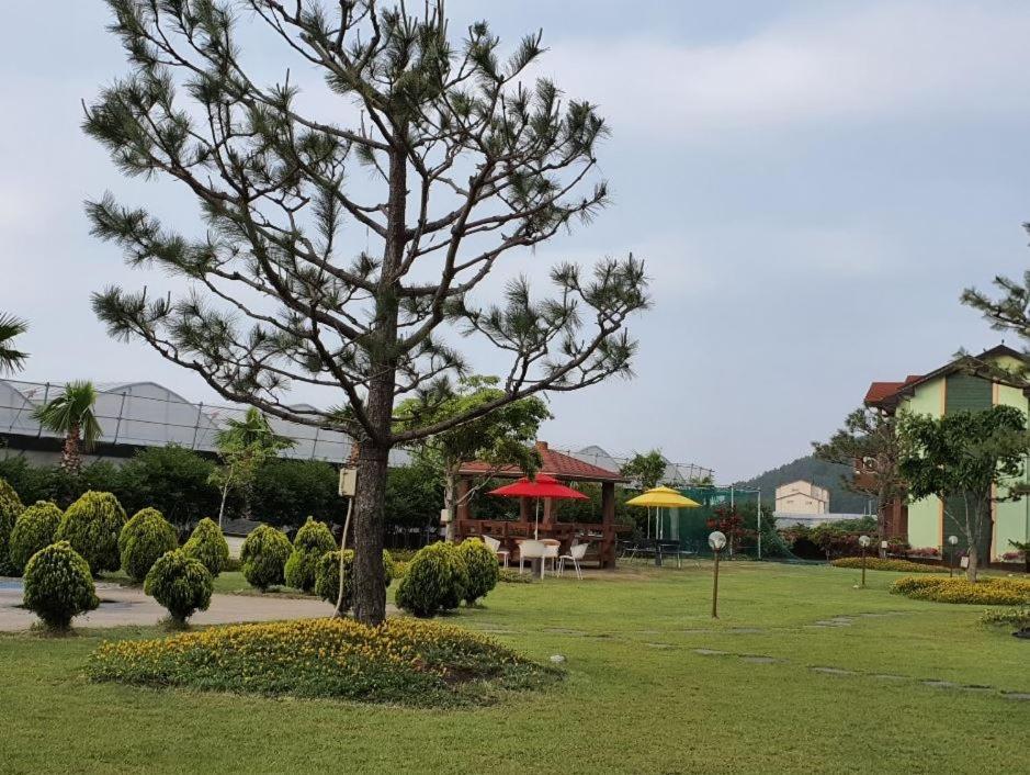 Jeju Time-Travel Pension Экстерьер фото