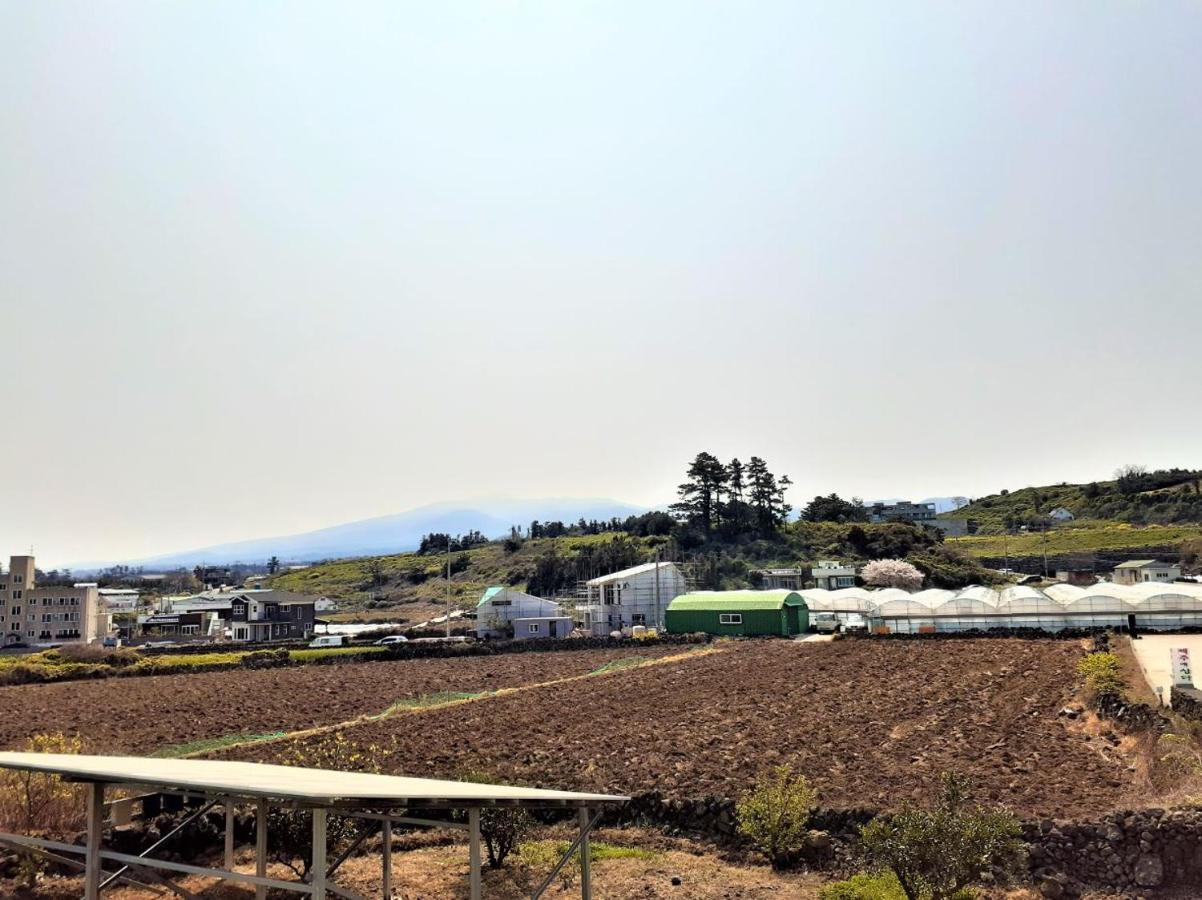Jeju Time-Travel Pension Экстерьер фото