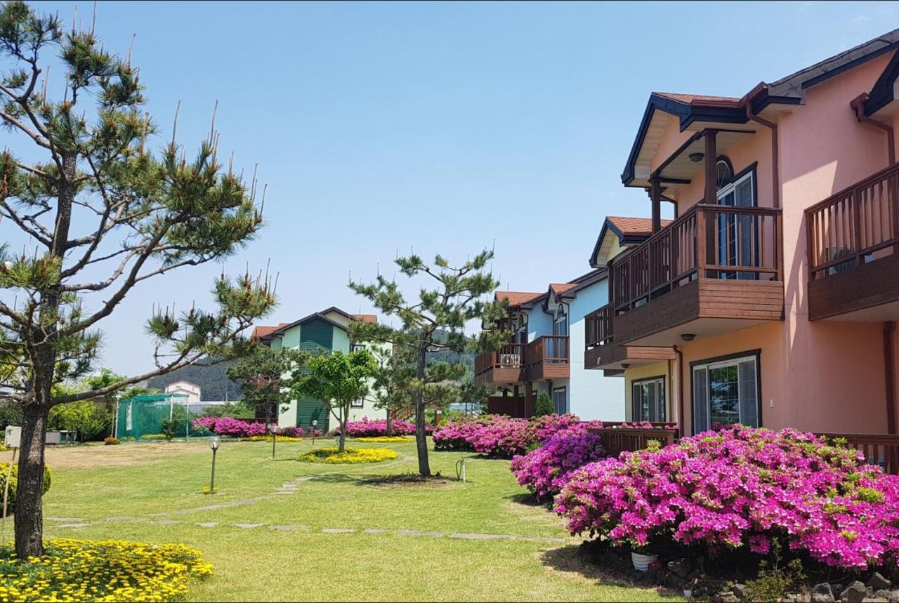 Jeju Time-Travel Pension Экстерьер фото