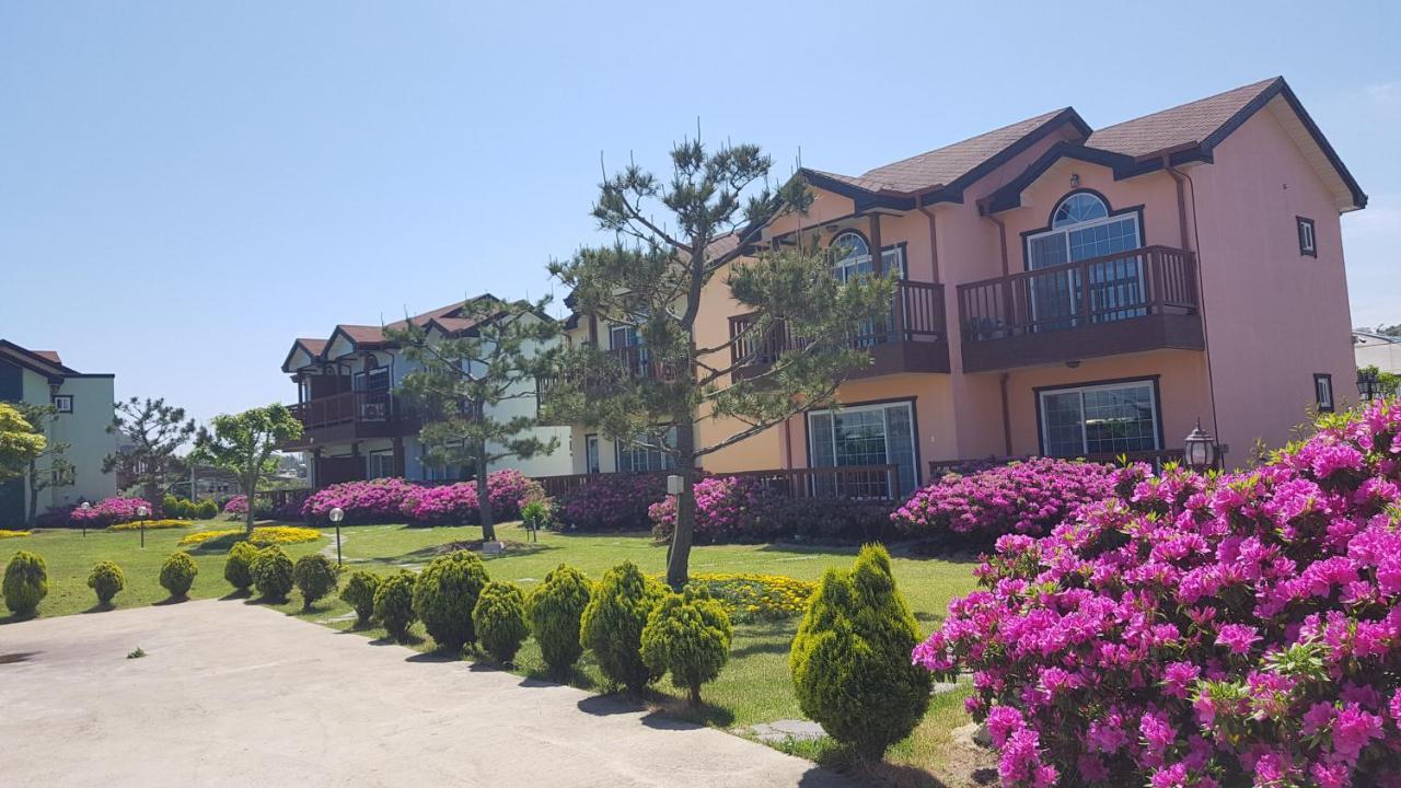 Jeju Time-Travel Pension Экстерьер фото